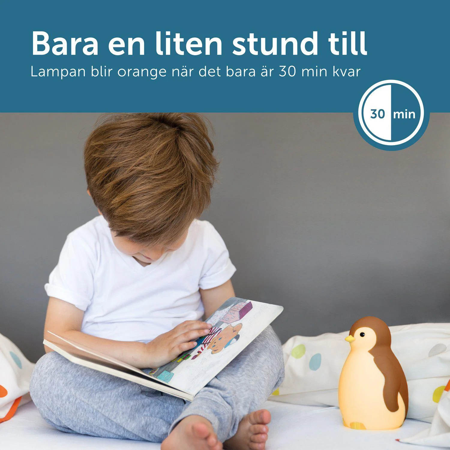 Zazu Pam Night Lamp and Sleep Trainer - Brun  - Image 5